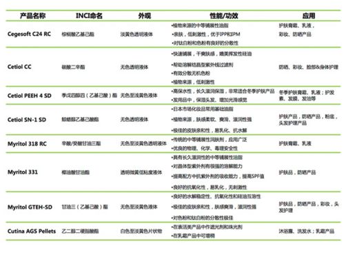 賽福網(wǎng)站 專業(yè)網(wǎng)站建設(shè)與服務(wù)